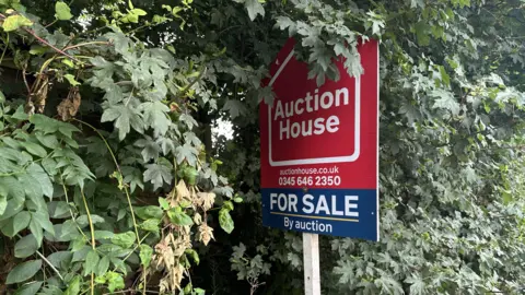 A tall hedge with a for sale sign. The red sign has a logo that reads "auction house" and says "for sale".