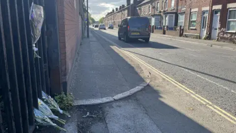 Flowers by the roadside