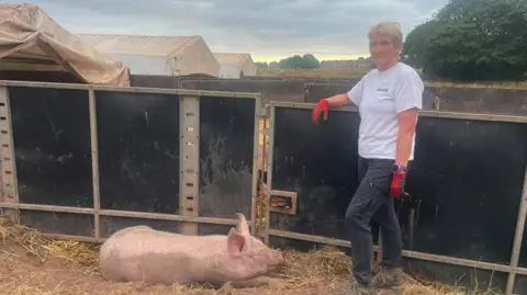 A woman in a white T-shirt, dark trousers and mainly red gloves is on the right of the photo by a barrier. She is near a pig who is lying on the ground facing her.