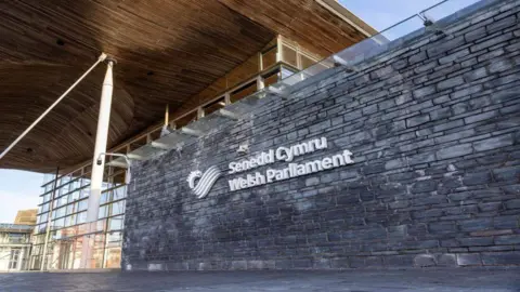 Getty Senedd Cymru