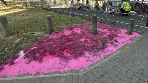 Alice Cunningham/BBC A grassed area that has been dyed pink.