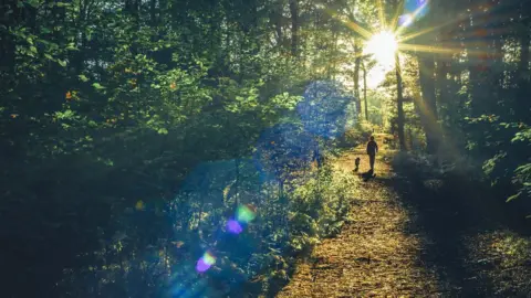 Getty Images Appalachian Trail