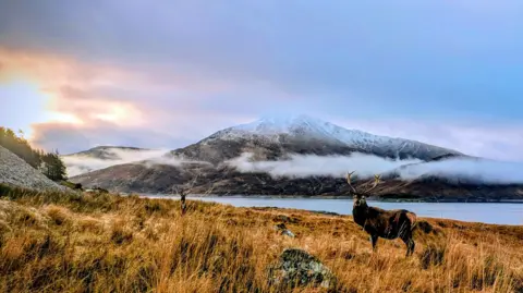Grahame Hogg Un ciervo de pie sobre la hierba dorada cerca de un lago, con nubes brumosas y una montaña cubierta de nieve en el fondo al amanecer.