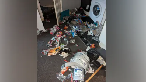 RSPCA A black and white cat sits frightened in the middle of a floor of a flat which is filled with rubbish