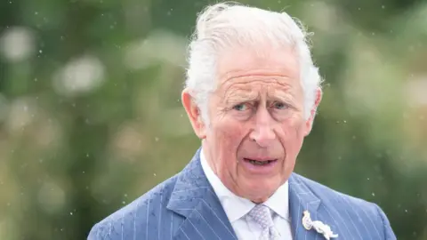 Getty Images The Prince of Wales, Prince Charles