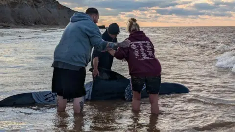 Sea with waves coming in towards a stricken whale with three people gathered aound it shin deep in the sea