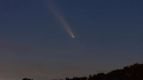 Trish/BBC Weather Watchers The comet in a dark blue evening sky. There are some stars visible and a line of trees below.