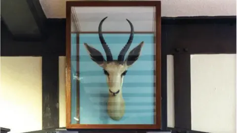 Glamorganshire Golf Club A Springbok head in a glass case. It was presented to Penarth RFC by the Barbarians after they beat South Africa 6-0 at Cardiff Arms Park in 1961 