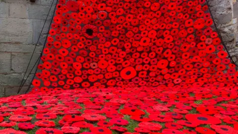 BBC Wellesbourne poppies