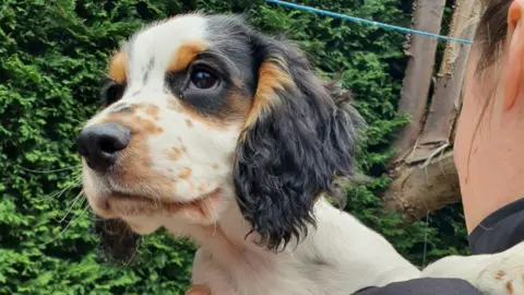 Puppy being held by police officer