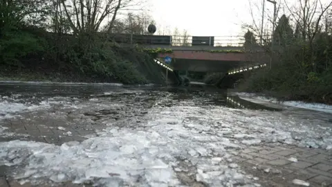 A path is filled with ice leading into an underpass. Trees surround the underpass on either side.