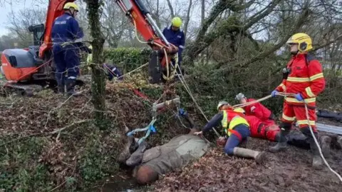 A horse is fully upside-down in a deep ditch with her legs straight up in the air. The animal is attached by strops to the arm of a mechanical digger. Five helmeted firefighters are attending.