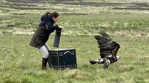 Fiona Davis A woman with a ponytail in a dark jacket, white trousers and boots opens a large box which has been holding an eagle which is flying clear over grassy moorland