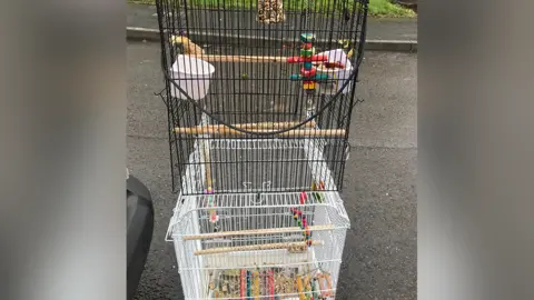 RSPCA The lovebird's cage on the side of a road in Caerau, Cardiff