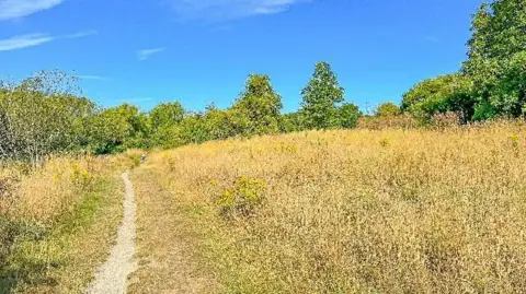 Weather Watchers/Kent Gardener East Barming in the Maidstone district of Kent. The picture shows a path through green fields. 