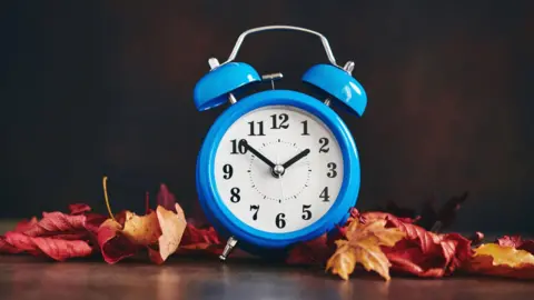 A blue, traditional analogue alarm clock with its minute hand at 10 and its hour hand at two. It is placed in front of a dark background with red and orange leaves surrounding it.