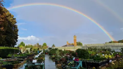 BCP Council / Kings Park Nursery A rainbow in the sky over rows of plans in Kings Park Nursery