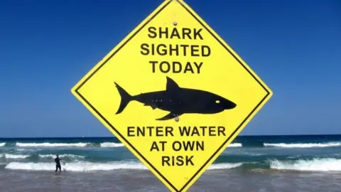 A sign saying "shark sighted today - enter water at own risk"