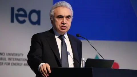 Anadolu Agency / Getty Images IEA executive director Fatih Birol is warning that there will need to be much more investment in clean energy to reduce carbon emissions