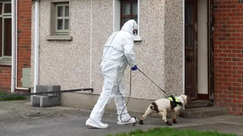 PA Media Person in full white forensics suit, walking a small beige dog into a pebble-dashed, red brick property 