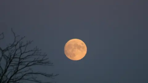 Quantock Hills Moon above the Quantocks