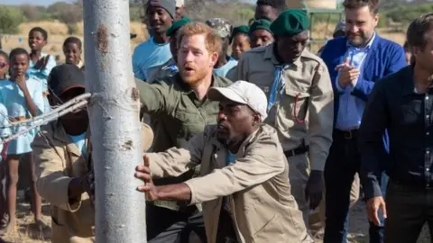 Getty Images Prince Harry planting tree