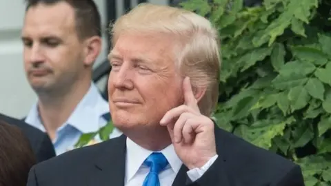 AFP/Getty Images US President Donald Trump. Photo: 4 July 2017