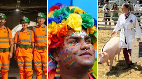 Three side-by-side images; on the left, three people in hi-vis orange work uniform stand underground. In the middle, a person wearing rainbow accessories looks up. On the right, a person in a white coat guides a pig with a board and stick.