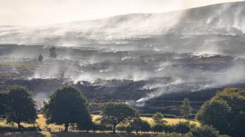 Smoke from a wildfire is blowing across a blackened mountainside with a few trees in the foreground which haven't been burnt.
