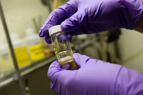 A vial held in gloved hands 