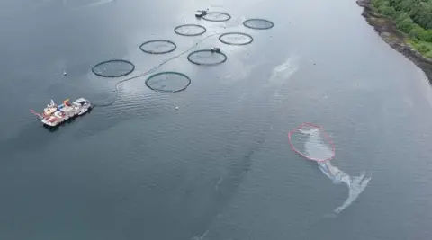 Ecotricity overhead view of fish farm