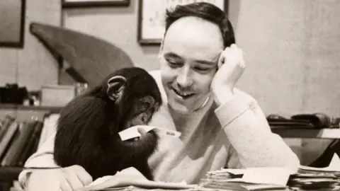 Getty Images Desmond Morris and Congo the chimp (as a baby)