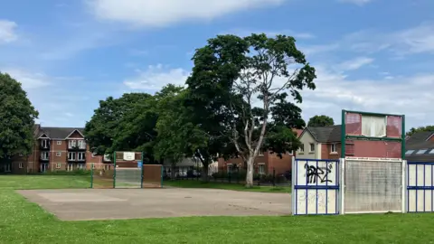 A rectangle of concrete in a park surrounded by grass. At one end of the concrete is a metal mesh fence with a basketball hoop in the middle. Another metal fence structure can be seen at the other end of the court. A block of flats can be seen behind the park, with trees and houses on the right hand side. 