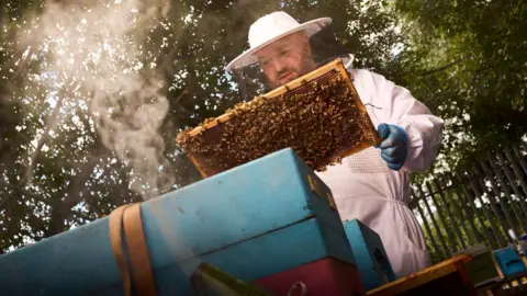 Ross Jarman Photography A man in a white beekeeping outfit hols a wooden tray covered in bees.