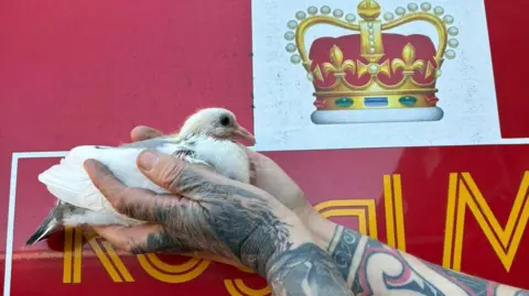 A close-up shot showing someone with tattoos on both arms holding up a white pigeon in their cupped hands. Behind the bird is a red Royal Mail postal van with a crown emblem.