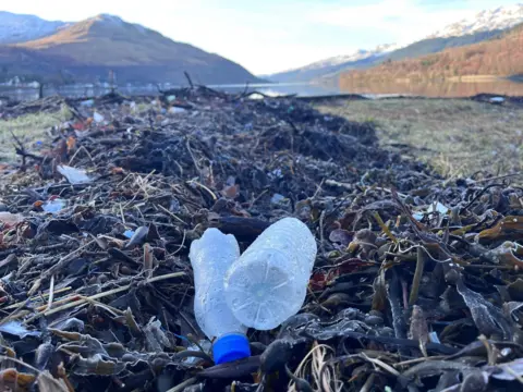 Dua botol plastik duduk di atas rumput laut di wastafel serasah arrochar