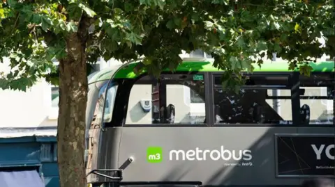 A grey double decker bus parked under a tree, which is full of green leaves.