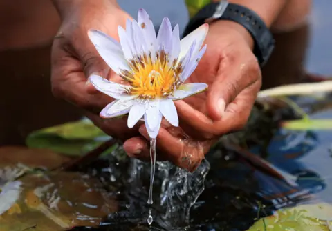 ESA ALEXANDER /  REUTERS A person cradles a white flower in their hands.