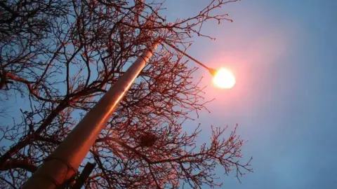 A stock image of a street light of an evening surrounded by a tree.