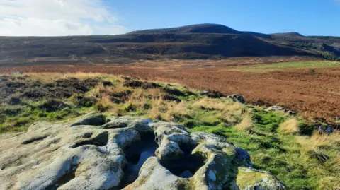 Duncan Hutt The Simonside Hills are in the centre of the background, rising in a dome shape and covered with brown bracken. In the foreground is a stone with water gathering in holes.