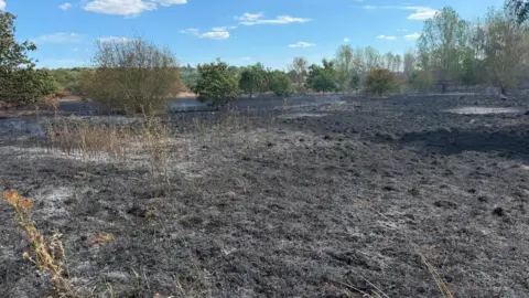 West Midlands Fire Service Black grassland in West Bromwich, after a deliberate fire. In the distance you can see some green treas. 