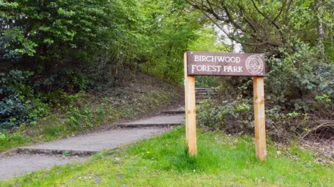 A path slopes upwards into a wooded area, marked by a wooden sign with 'Birchwood Forest Park' carved into it. 