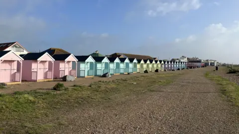 A long row of pastel coloured beach huts in pink, blue, green and purple. They are on the edge of a shingle beach.