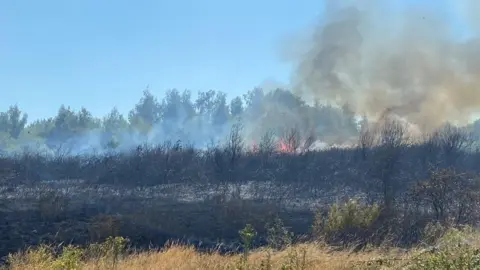 Essex Fire Service A field fire in Canvey Island, Essex