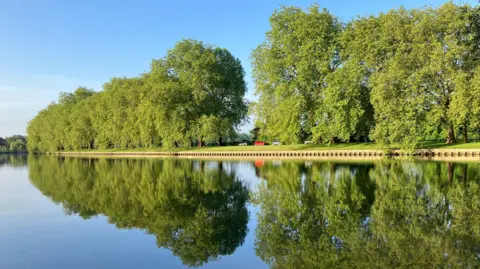 WEDNESDAY -  Reflections of green trees in water atat Datchet