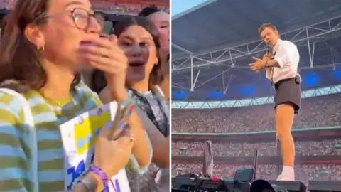 A teenager at a gig carrying a sign and a photo of Harry Styles on stage