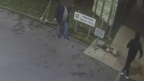 Moment after man kicks dog