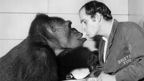 William Vanderson/Getty Images Delilah eating a banana with Michael Colbourne, Head Keeper of the Ape House in Bristol Zoo