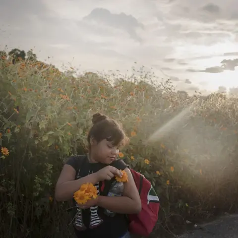 Pieter Ten Hoopen, Agence Vu/Civilian Act A girl looks at a flower in a meadow