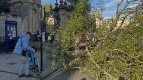 A fallen tree blocking a path in Oxford city centre, with a cyclist looking at it